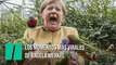 Los momentos más virales de Angela Merkel