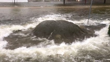 Health risks for flooding and how to prevent them