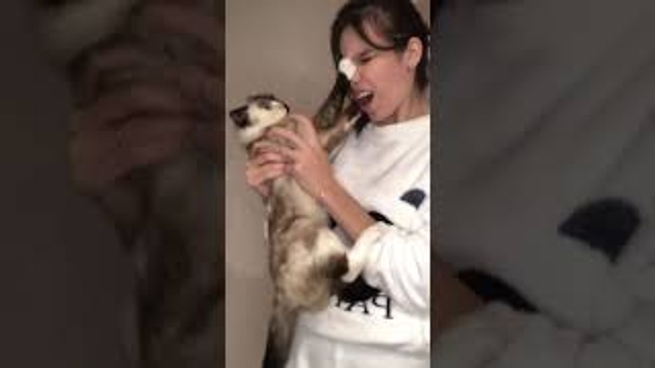 Cat Claw Gets Stuck After Pawing Owners Face video Dailymotion