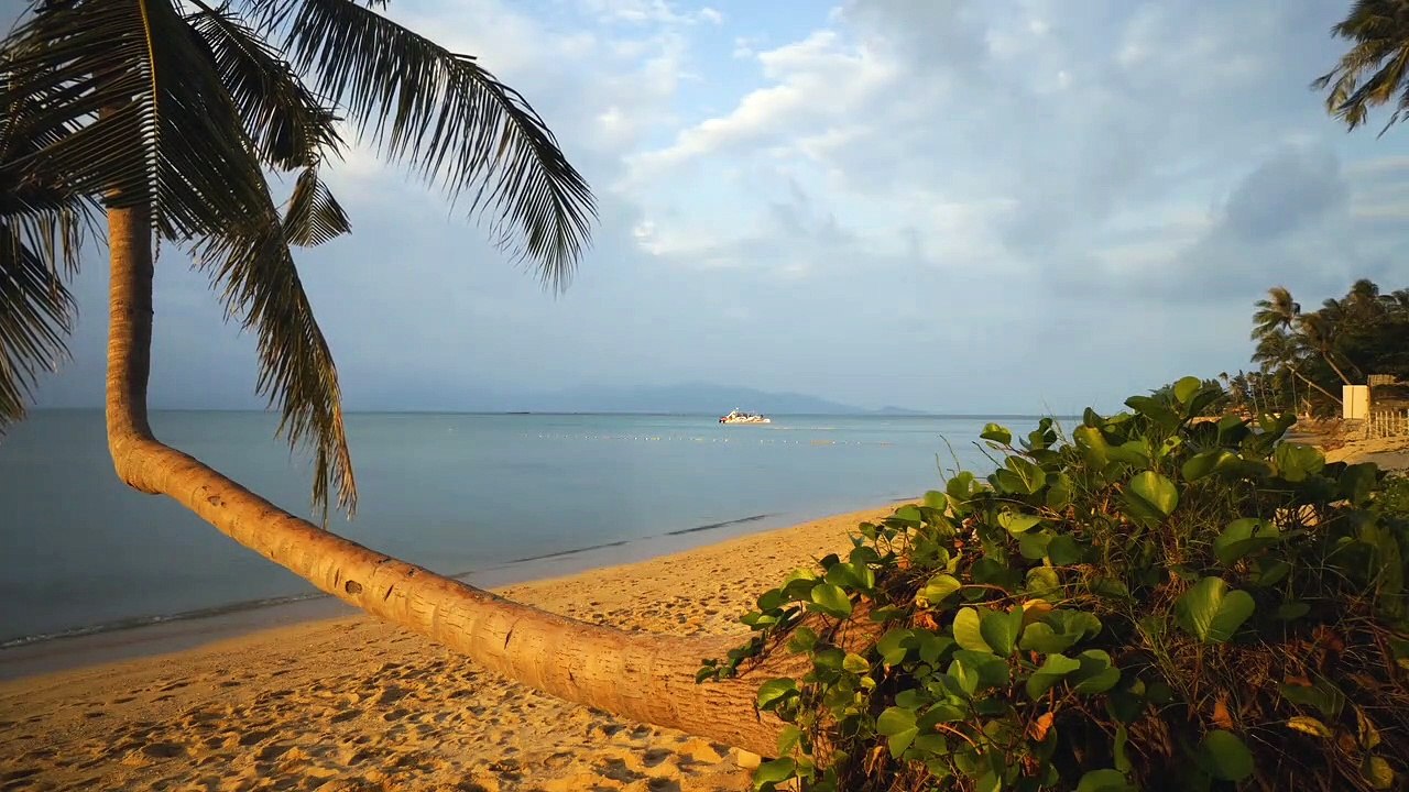 Water Background Videos | Beautiful Sea HD Video | Amazing Sunrise And Sunset Videos | All4U