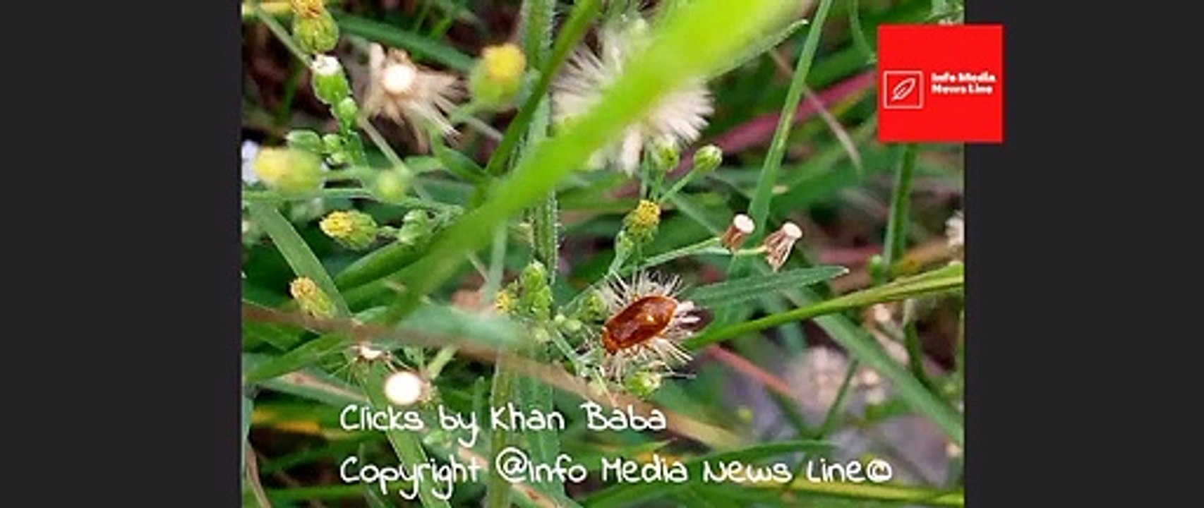 Nature Love