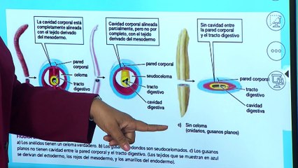 11° Media | Biología 23-09-2021