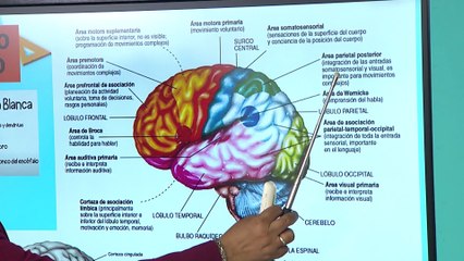 12° Media | Biología 23-09-2021