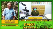 ปัญหาการปลูกพืชเชิงเดี่ยว : FM91 เกษตรทำเอง : 25 กรกฎาคม 2564