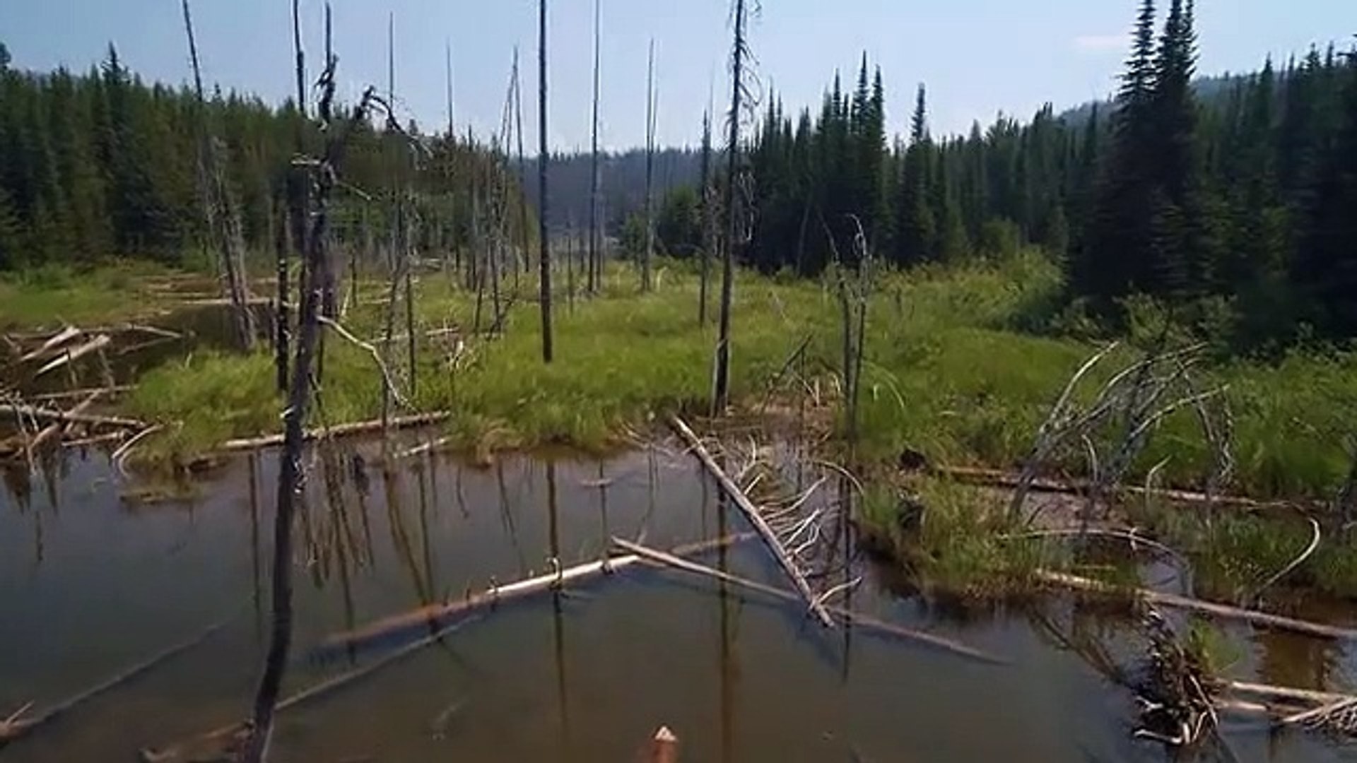 Relaxing nature