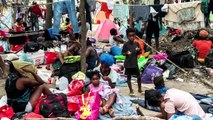 U.S. envoy to Haiti quits over migrant deportations