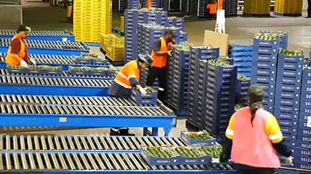 Industries relying on overseas workers for seasonal jobs