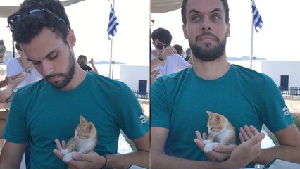 'Dozy kitten falls asleep in Greek man's arms'