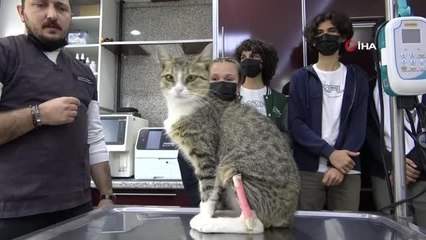 Liseli gençler ayağı kırılan kediyi para toplayıp ameliyat ettirdi