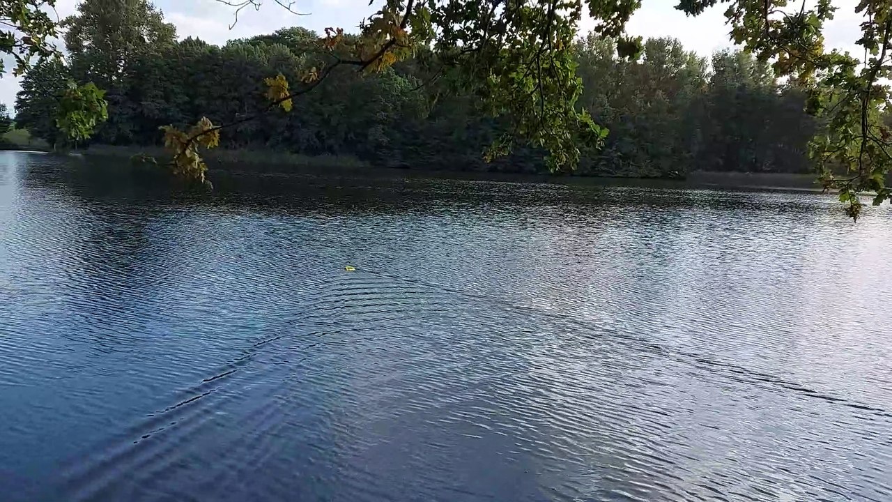 Jetzt geht es weiter hinaus am 22.09.2021