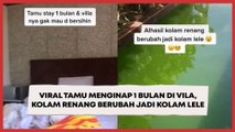 Viral Tamu Menginap 1 Bulan di Vila, Kolam Renang Berubah Jadi Kolam Lele
