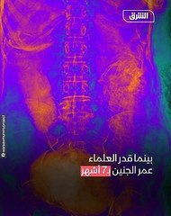 هوية مومياء كاهن مصري تصدم العلماء