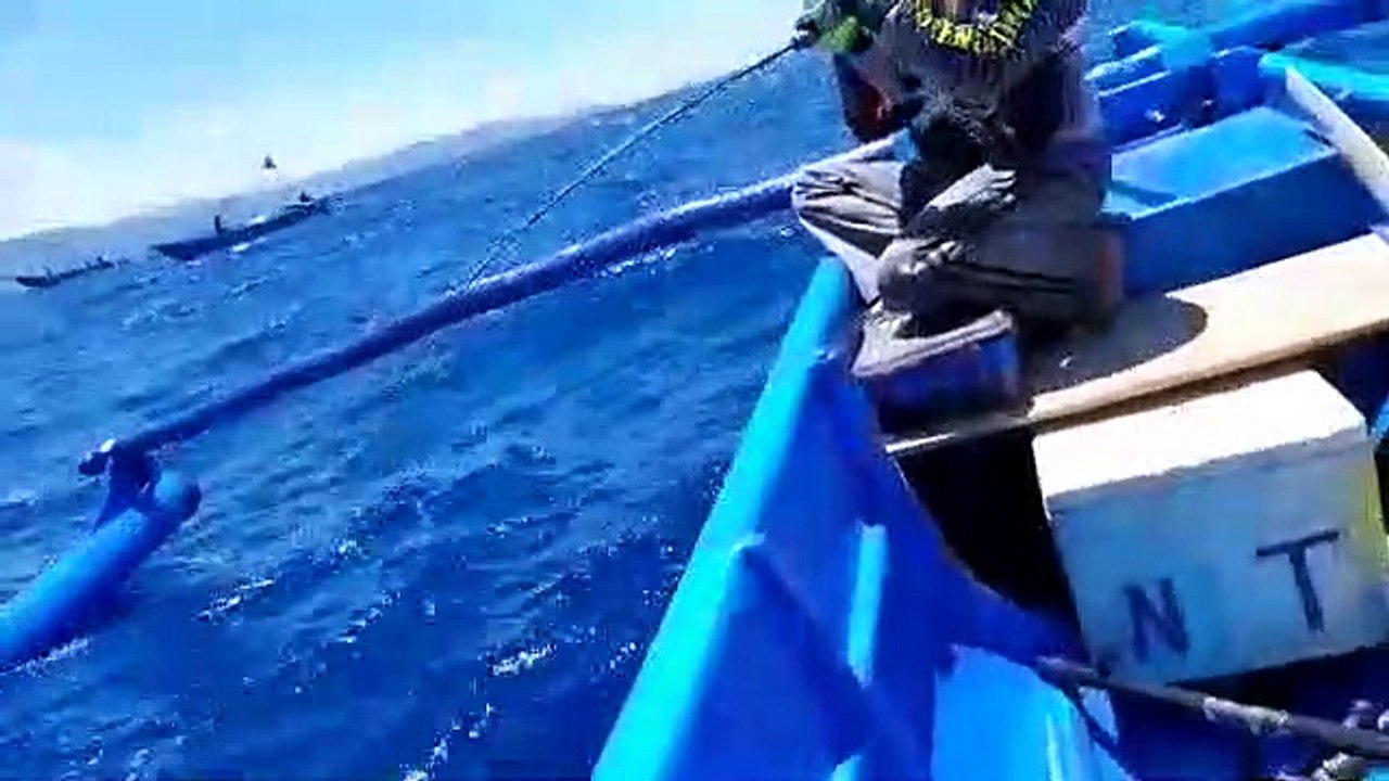 STRIKE AMBERJACK FISH