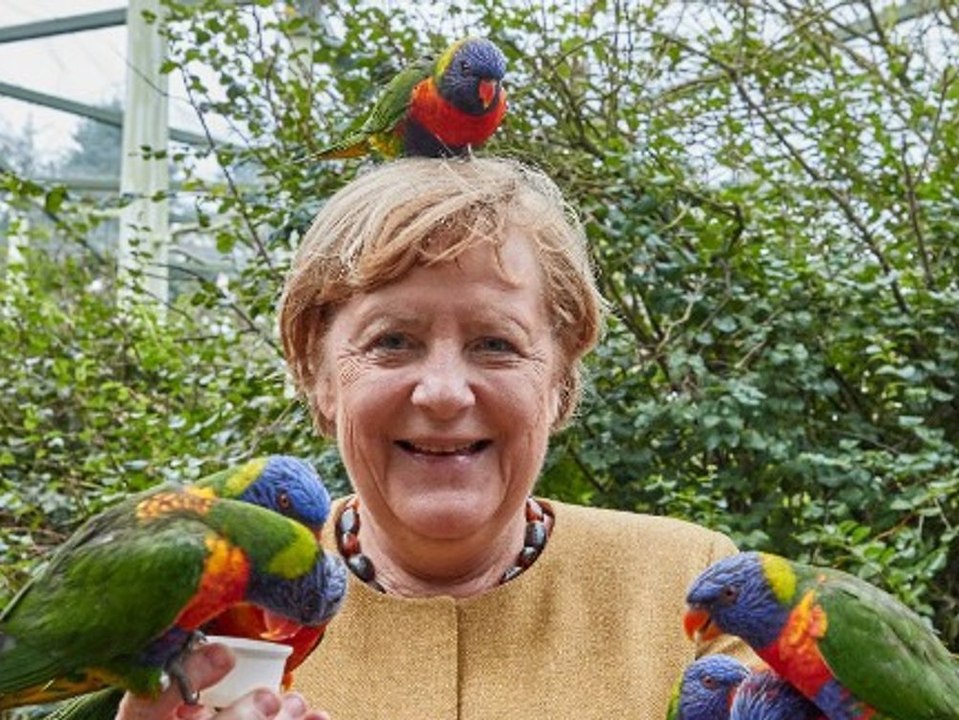 Merkel im Vogelpark: So hat man die Bundeskanzlerin selten gesehen