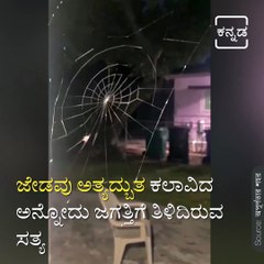 See how this Spider tried to Makes its Web.