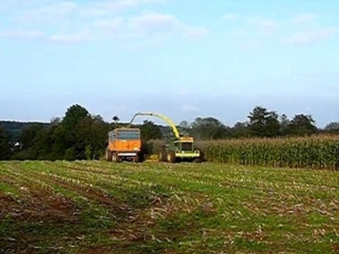 Ensilage 2007 chantier n°1