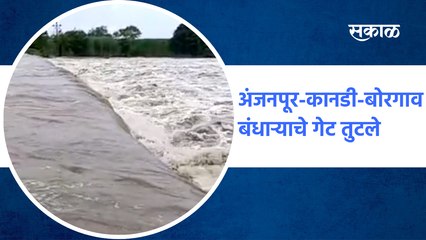 Rain Updates Beed : अंजनपूर-कानडी-बोरगाव बंधाऱ्याचे गेट तुटले