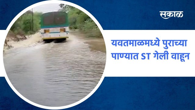 Yawatmal: यवतमाळमध्ये पुराच्या पाण्यात ST गेली वाहून