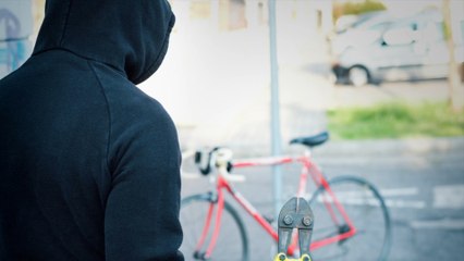 Belgique: des délits mineurs seront bientôt sanctionnés par une amende immédiate de 250 euros!