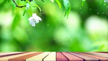 Relaxing Harp Music_ Morning Music, Spa Music, Instrumental Music, Relaxing Music.01 リラクシングハープミュージック：モーニングミュージック、スパミュージック、インストルメンタルミュージック、リラクシングミュージック。 01