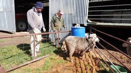 Nationals yet to reach consensus on emissions target