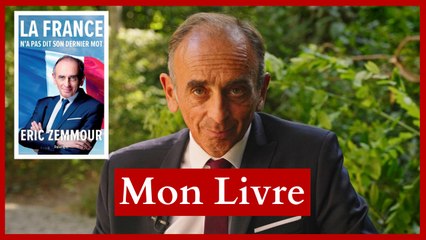 Éric Zemmour à la Croisée des Chemins : mon livre