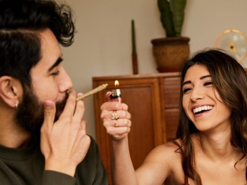 Cannabis immer beliebter: So viel konsumieren die Europäer