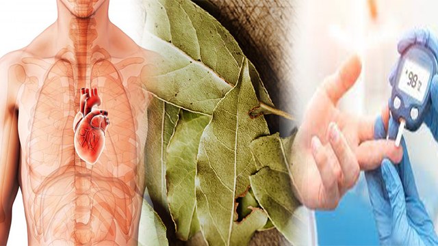 Diabetes और Heart Patient को तेजपत्ता क्यों खाना चाहिए , जबरदस्त मिलेगा फायदा | Boldsky