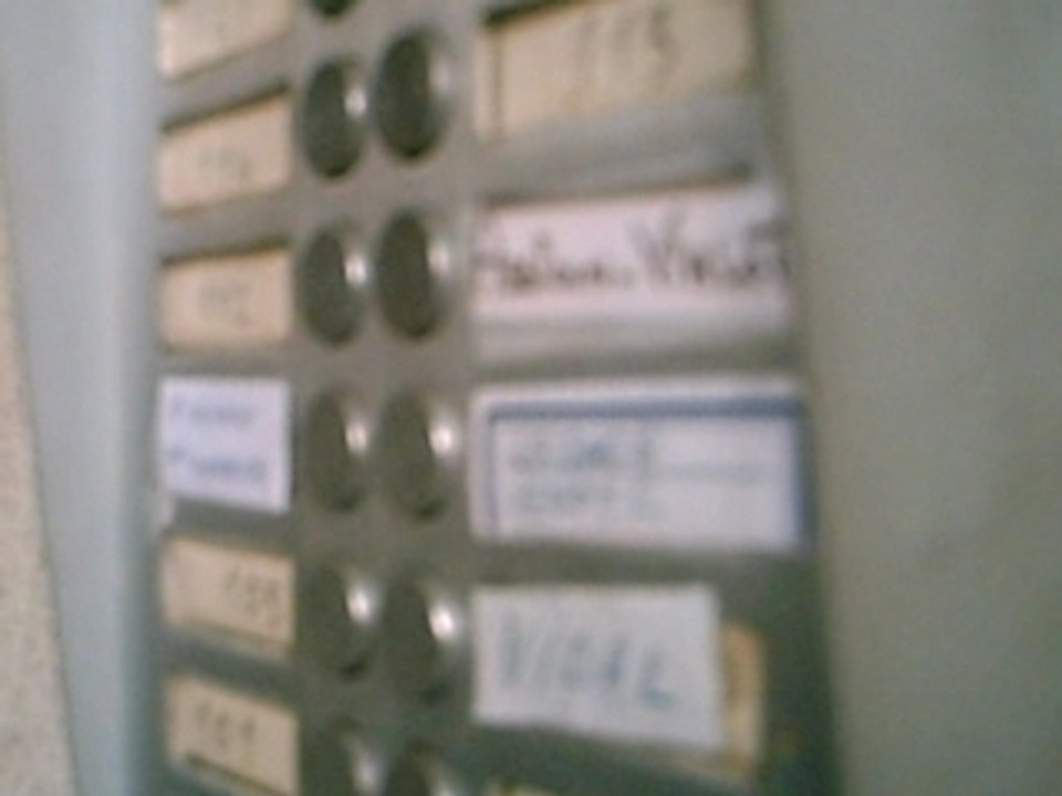 PICT1894