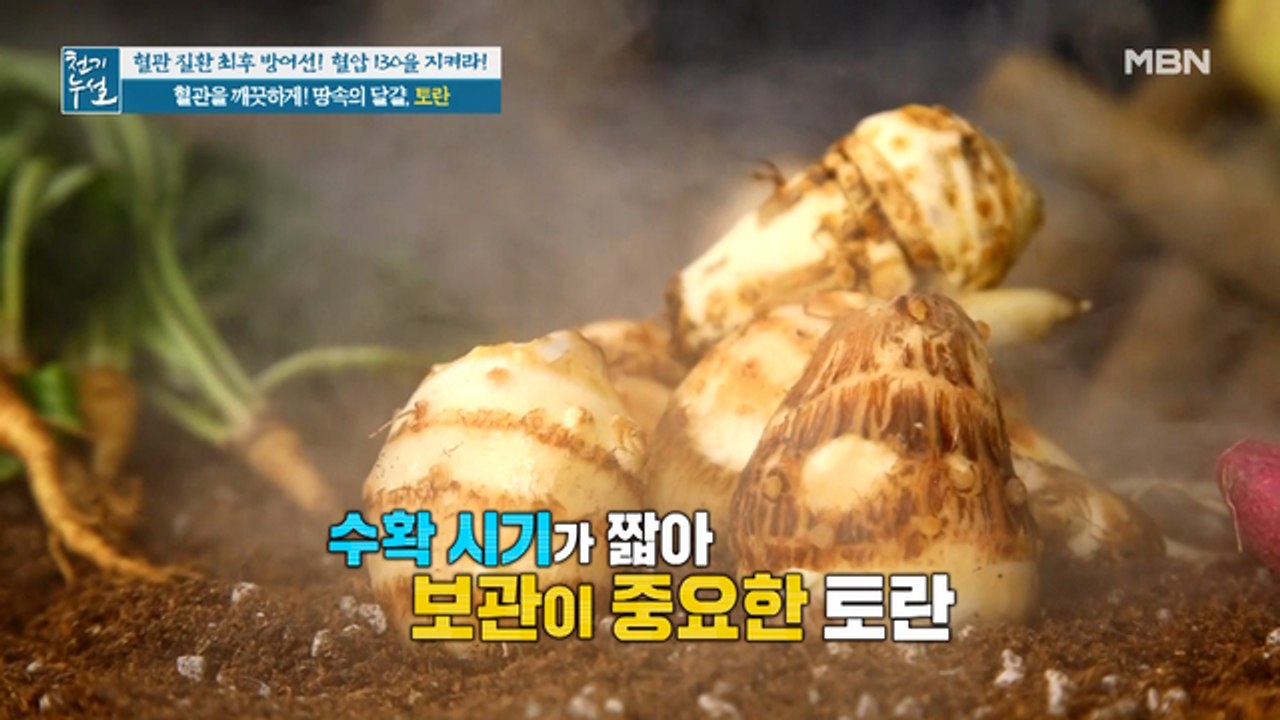 토란에 관한 이모저모~ 토란 고르는 법부터 보관팁까지!