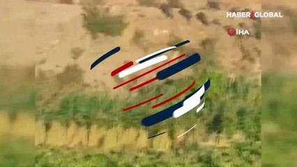 Kalabalık domuz sürüsü böyle kaçtı