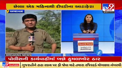 Locals panic after leopardess spotted with her 2 cubs in rural areas of Ahmedabad _ TV9News