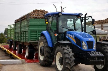 Muş'ta pancar alım kampanyası başladı