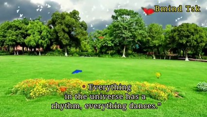 Beautiful relaxing music.Music Sleep meditation.Peaceful soothing instrumental m_HD