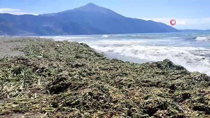 Samandağ sahili yürünemeyecek hale geldi