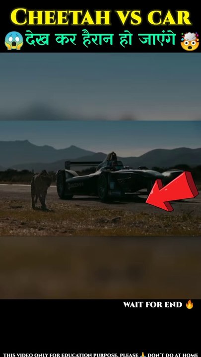 Cheetah -- vs Formula E car -- Race -- देखकर दंग रह जाएंगे -- _shorts(1080P_HD)