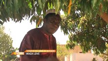 WAGALOVE [NOSTALGIE] _ DU LUNDI AU VENDREDI À 15H50