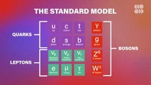 Could This Elusive Particle Reshape the Standard Model?