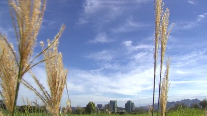 [날씨] 늦더위 사라지고 쾌청...'태풍 길' 막았다 / YTN