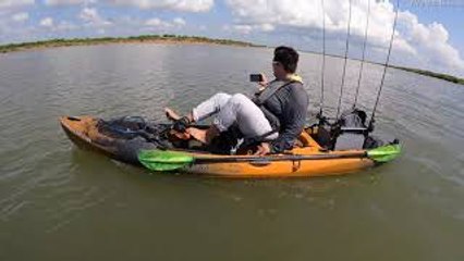 Pod of Dolphins Play with Kayakers