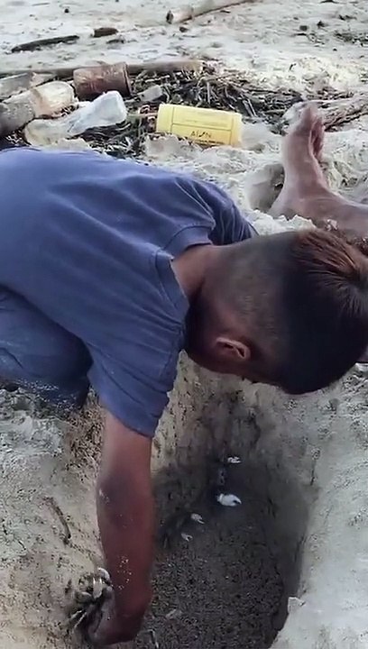Bermain main dengan kepiting