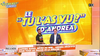 Le "Tu l'as vu" d'Andréa Bruche : Didier Raoult se lâche complètement !