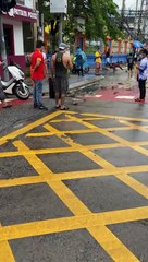 Fish Found Flopping in Street After Flood