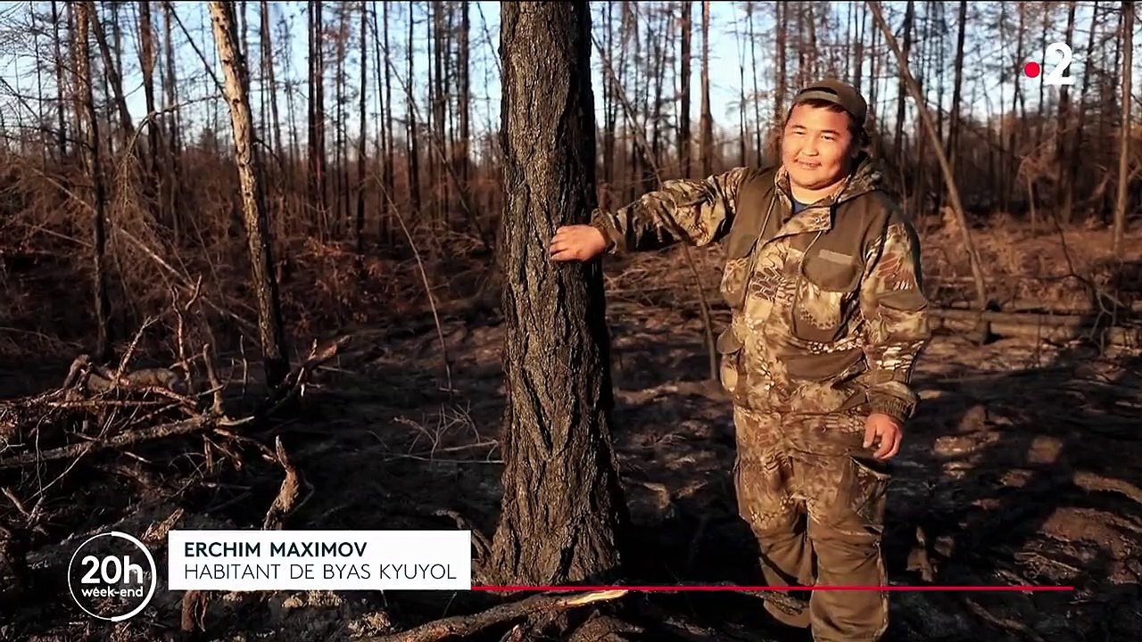 Sibérie : de lourdes conséquences suite aux incendies géants