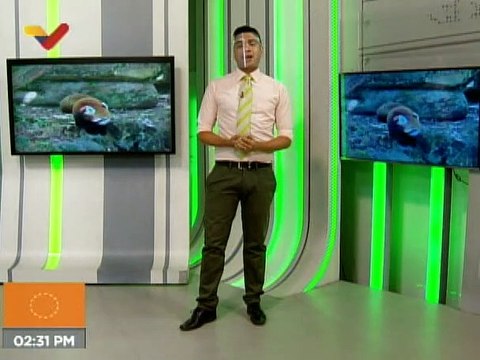 Punto de Encuentro | Venezuela celebra el Día de la Virgen de las Mercedes