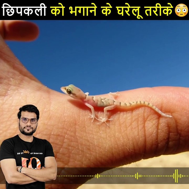 छिपकली को भगाने के घरेलु तरीके A2 Motivation #shorts #backtobasics by #a2_sir