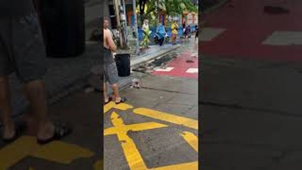 Fish Found Flopping in Street After Flood