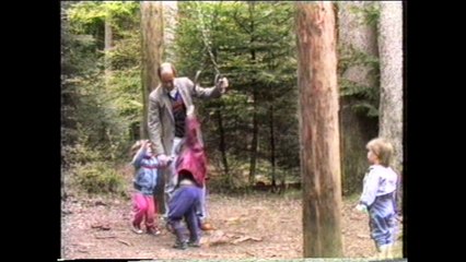 The Survivors from 1986 to 1989