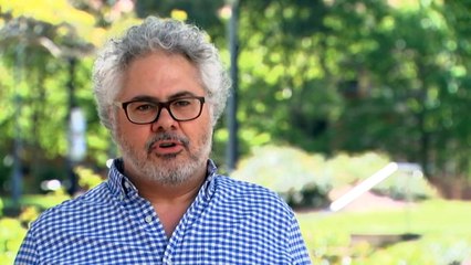 State's healthiest koala population facing an uncertain future