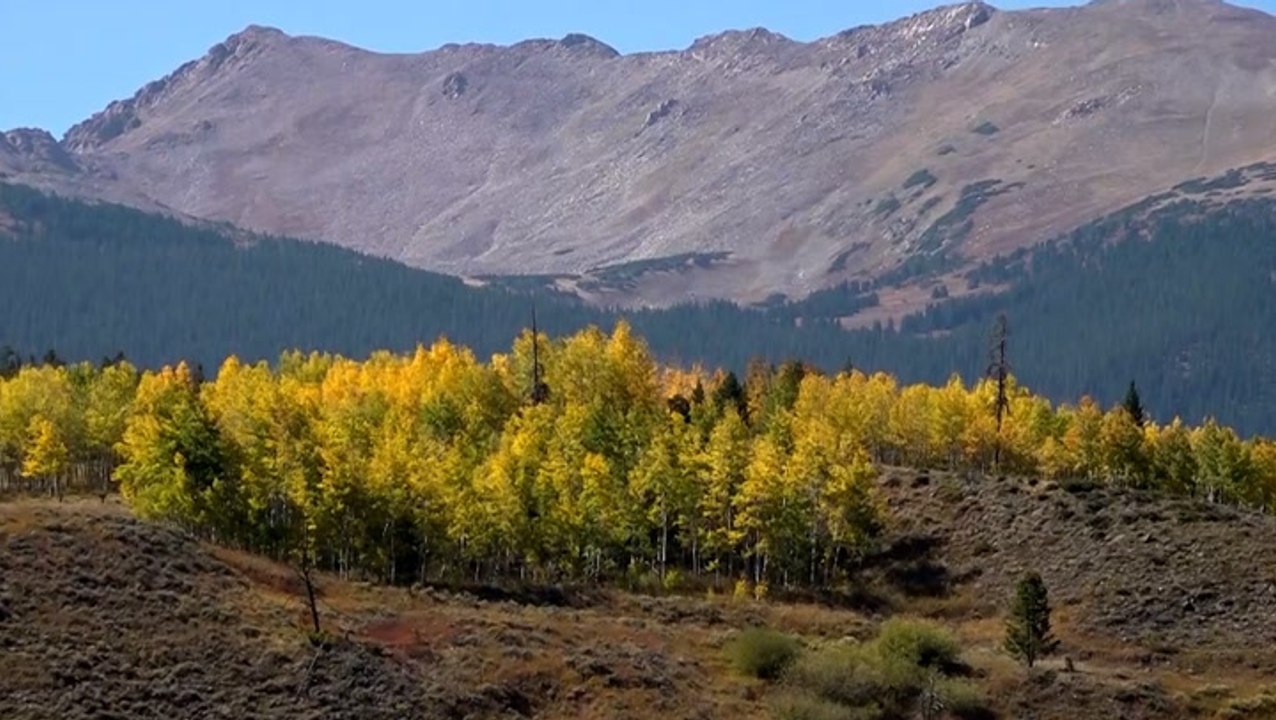 Fall foliage hitting its peak in parts of Colorado
